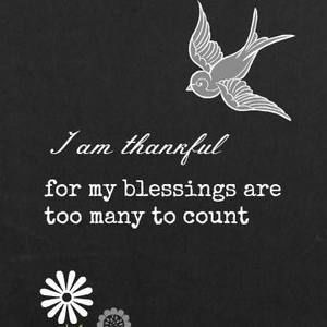 Meet your Posher, Sandy